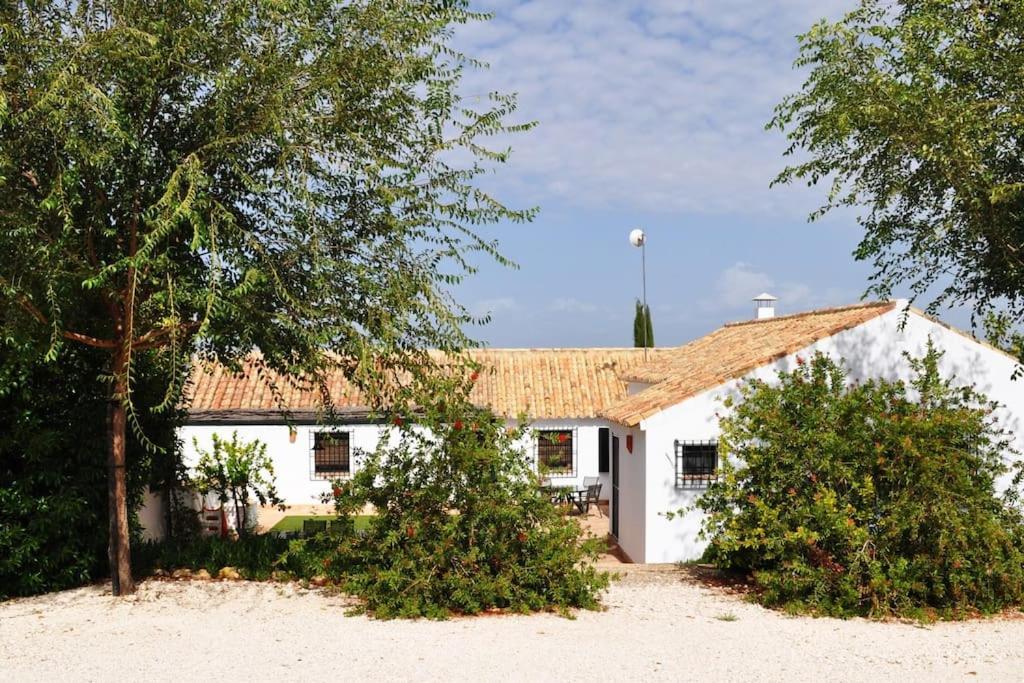 Casa Rural La Linana Cordoba Dış mekan fotoğraf