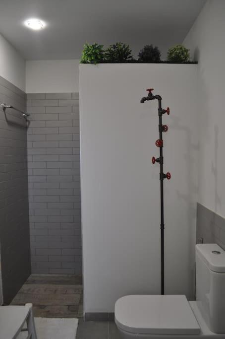 Casa Rural La Linana Cordoba Dış mekan fotoğraf