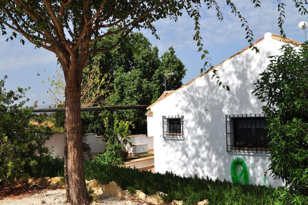 Casa Rural La Linana Villa Cordoba Dış mekan fotoğraf